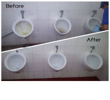 poles toilet yang bersih